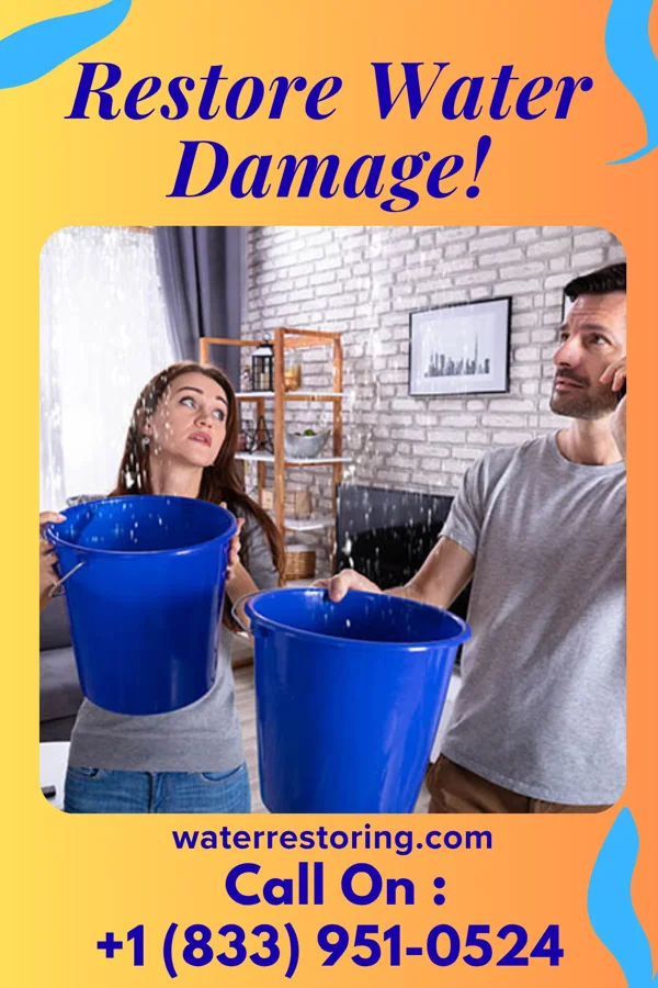 water restoration Local Flood Mitigation Inc Horseheads North