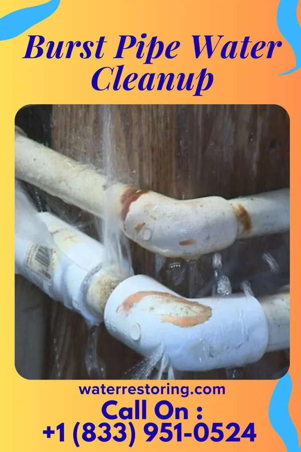 Burst Pipe Water Cleanup in Horseheads North, NY