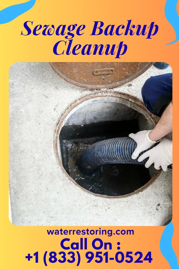 Sewage Backup Cleanup in Horseheads North, NY
