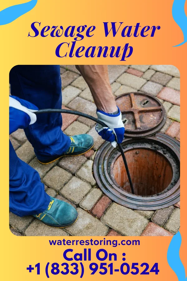 Sewage Water Cleanup in Horseheads North, NY